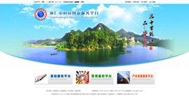 和平科技创新服务平台